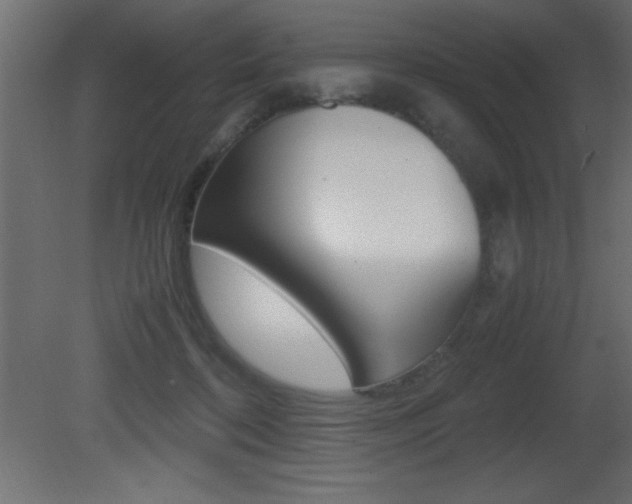 X0000081450316200701121022
