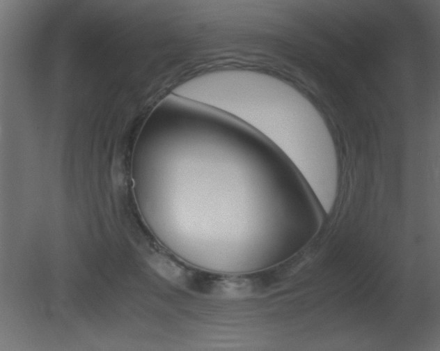 X0000081450317200701121022