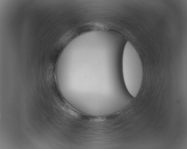 X0000081450318200701121022