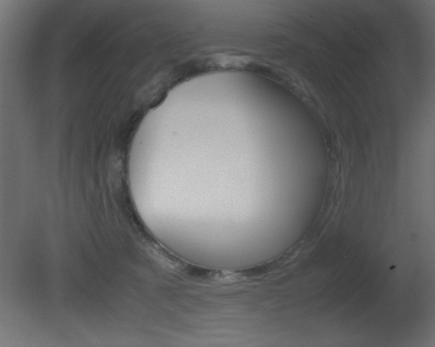 X0000081450321200701121021