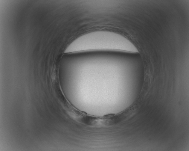 X0000081450323200701121021