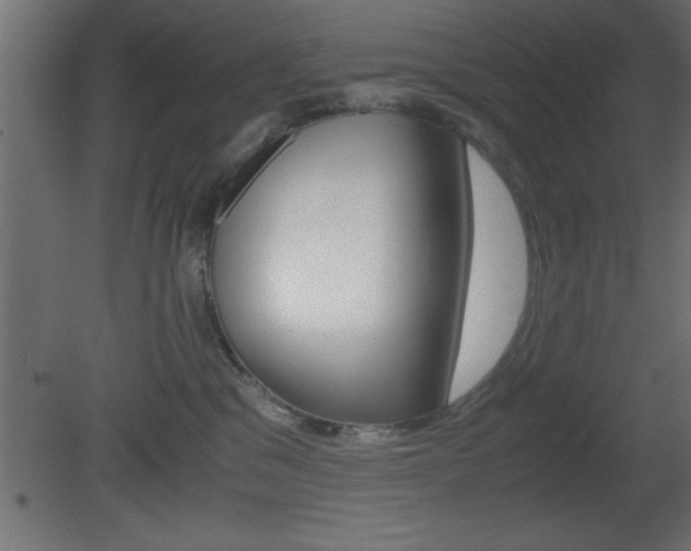 X0000081450329200701121021