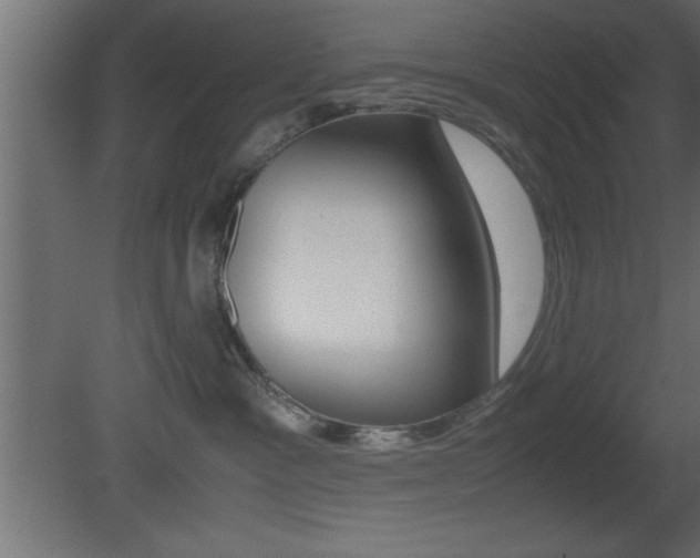 X0000081450333200701121021