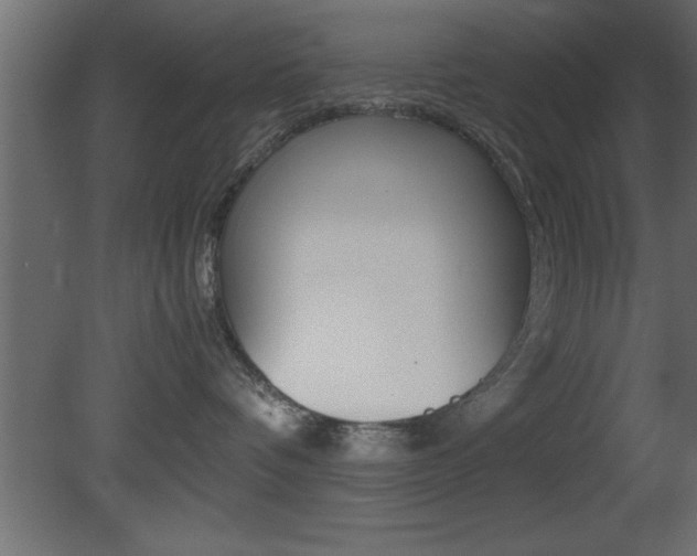 X0000081450336200701121021