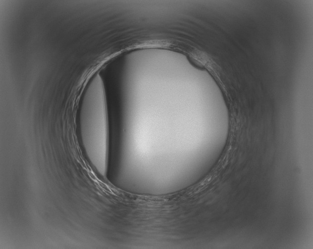 X0000081450337200701121020