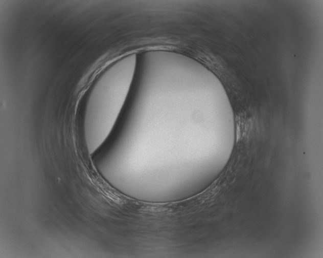 X0000081450339200701121020