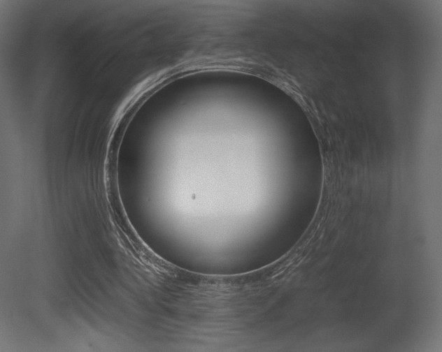 X0000081450340200701121020