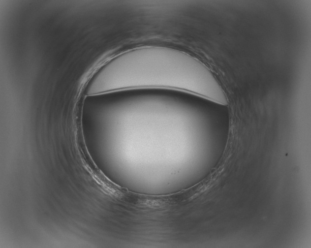 X0000081450341200701121020