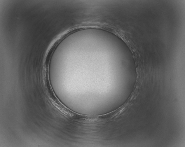 X0000081450342200701121020