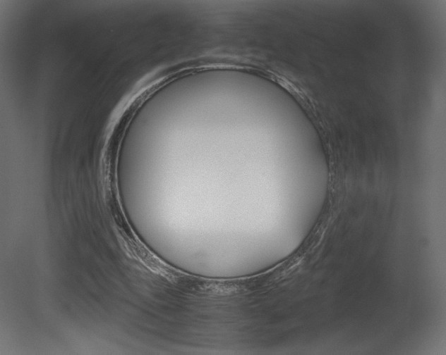 X0000081450343200701121020