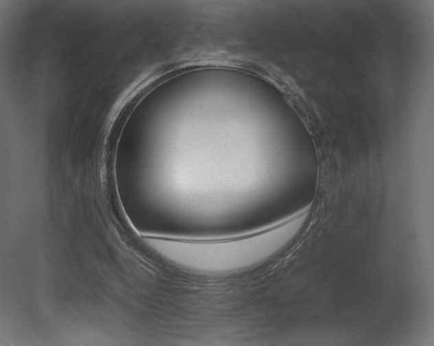 X0000081450344200701121021