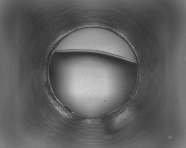 X0000081450345200701121021