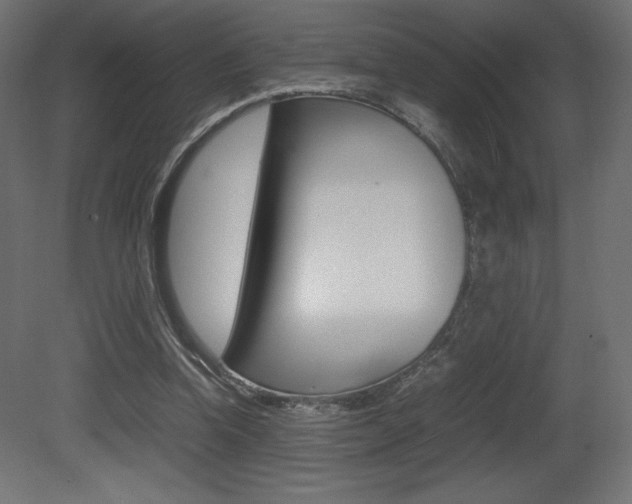 X0000081450346200701121021