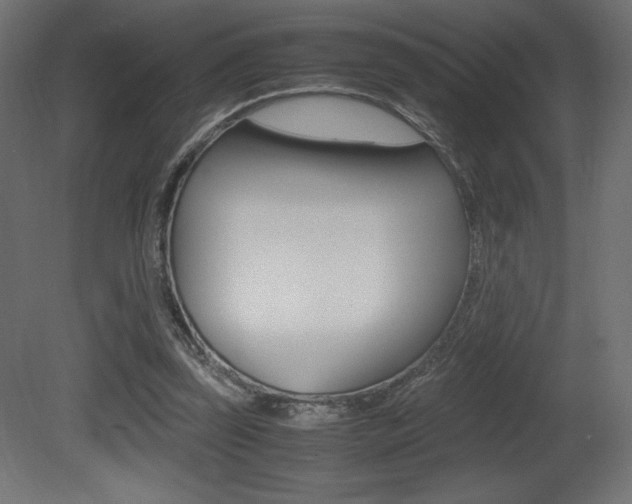 X0000081450347200701121021