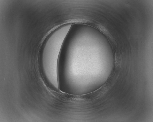 X0000081450348200701121021