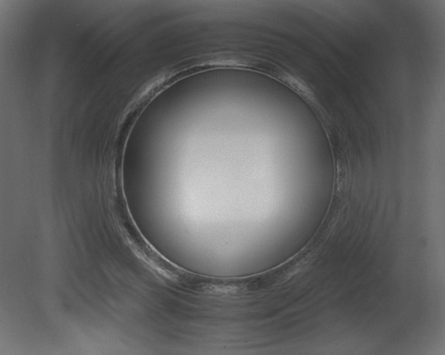 X0000081450349200701121021
