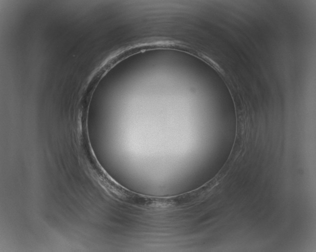 X0000081450350200701121021