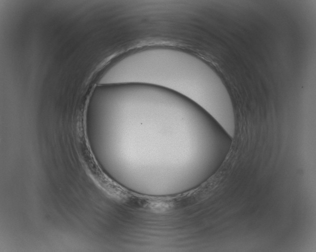 X0000081450352200701121021