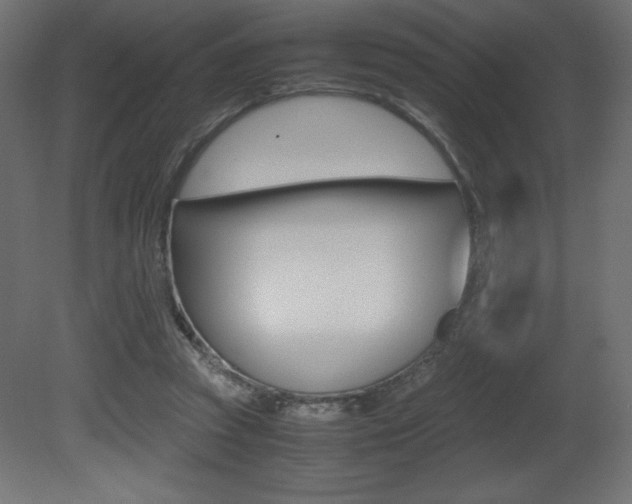 X0000081450353200701121021
