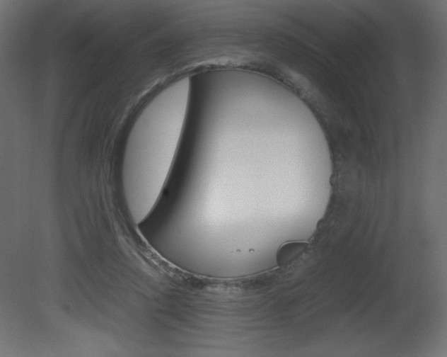 X0000081450354200701121021
