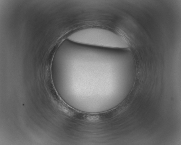 X0000081450355200701121021