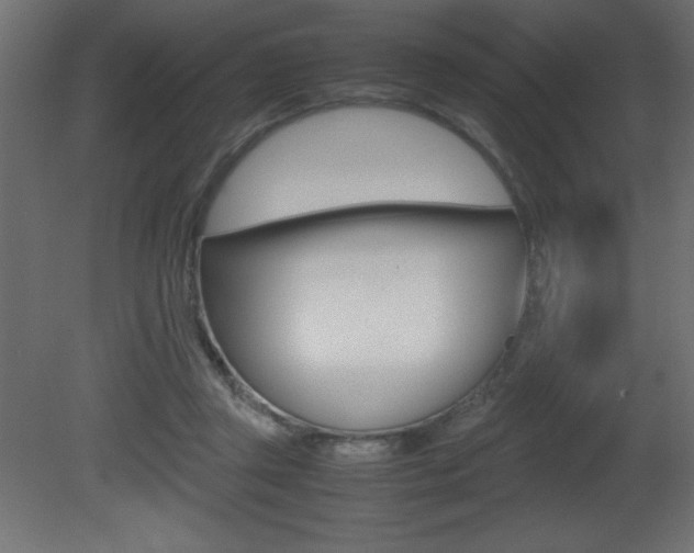 X0000081450357200701121021