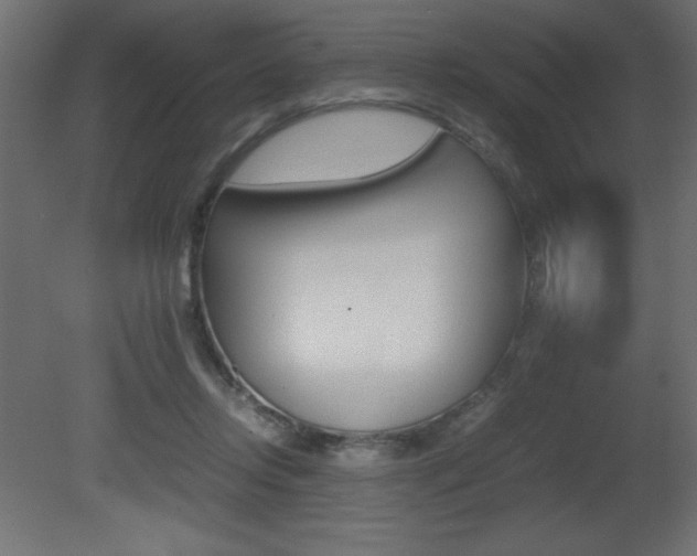 X0000081450358200701121021