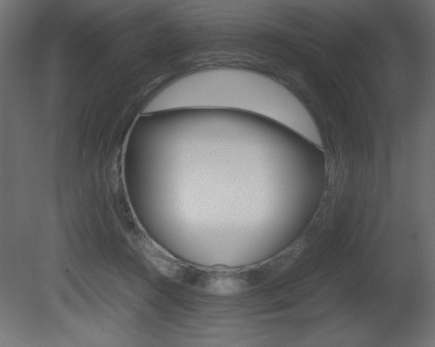 X0000081450360200701121021