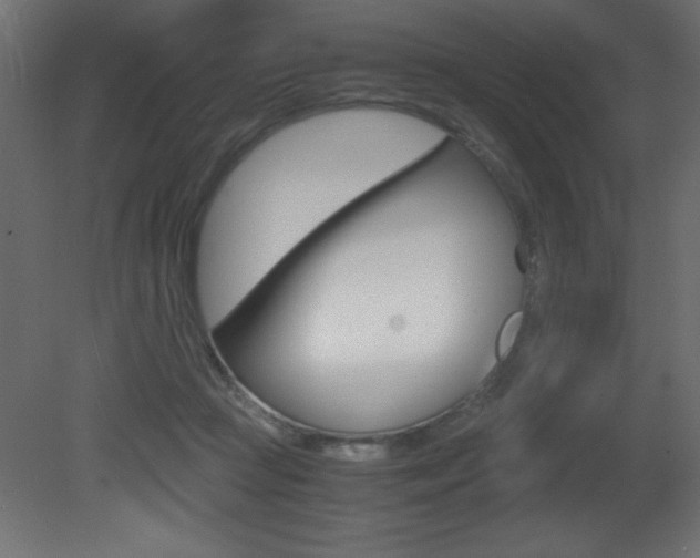 X0000081450361200701121021