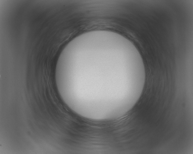 X0000081450362200701121021