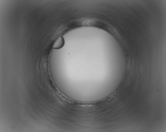 X0000081450363200701121021