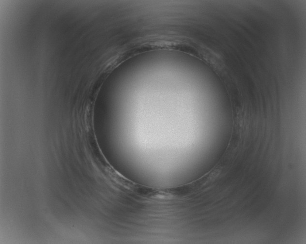 X0000081450364200701121021