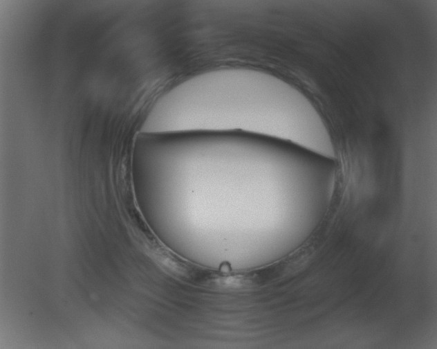 X0000081450365200701121021