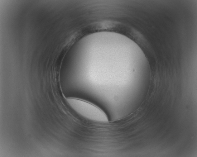X0000081450366200701121021
