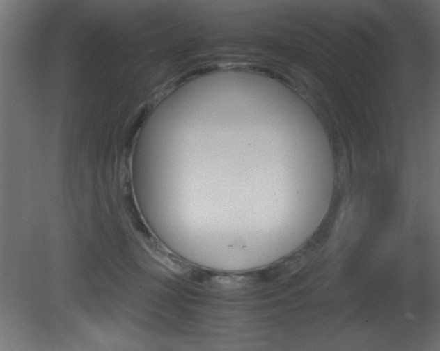 X0000081450367200701121021