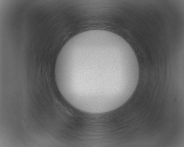X0000081450368200701121021