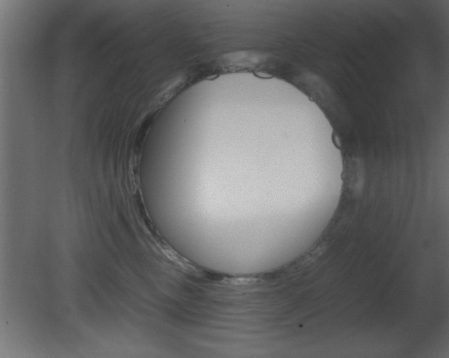 X0000081450378200701121021