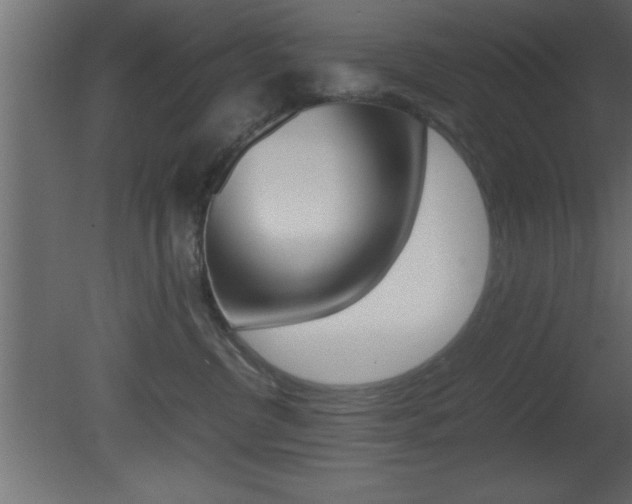 X0000081450380200701121021