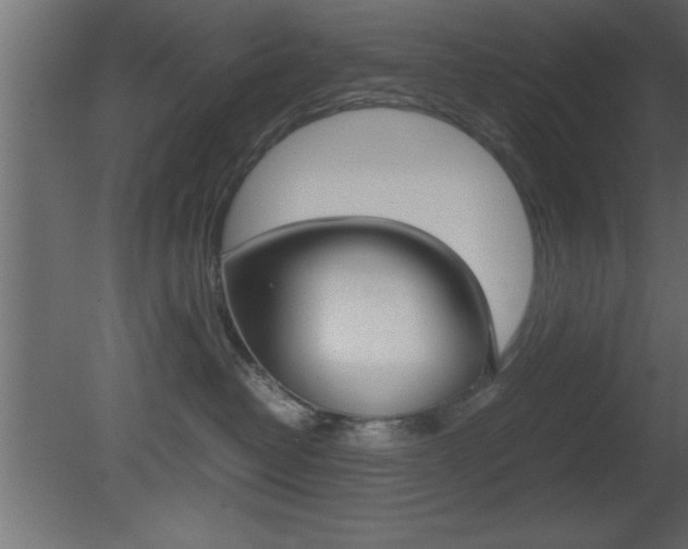 X0000081450382200701121021