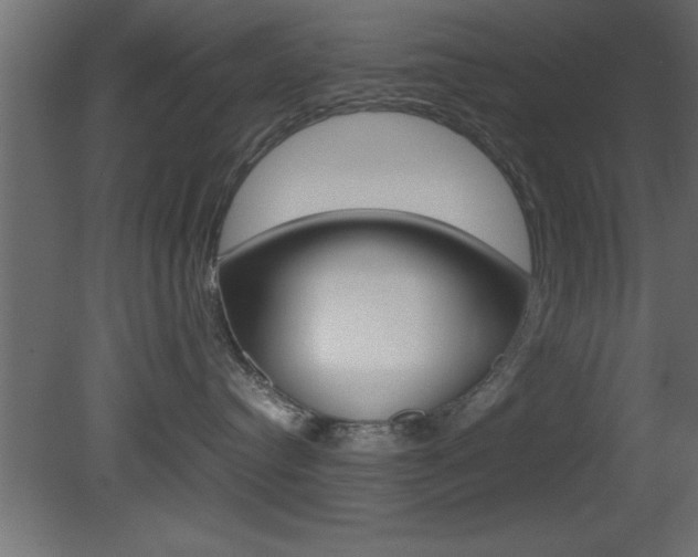 X0000081450384200701121021
