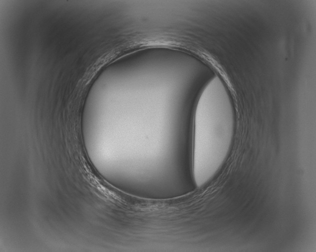 X0000081450385200701121020