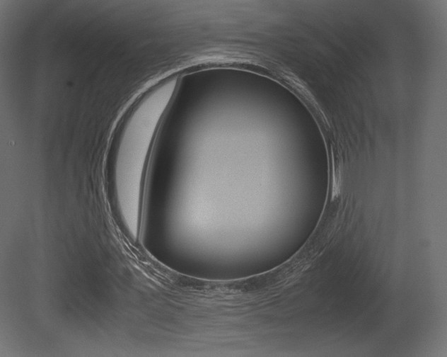 X0000081450387200701121020