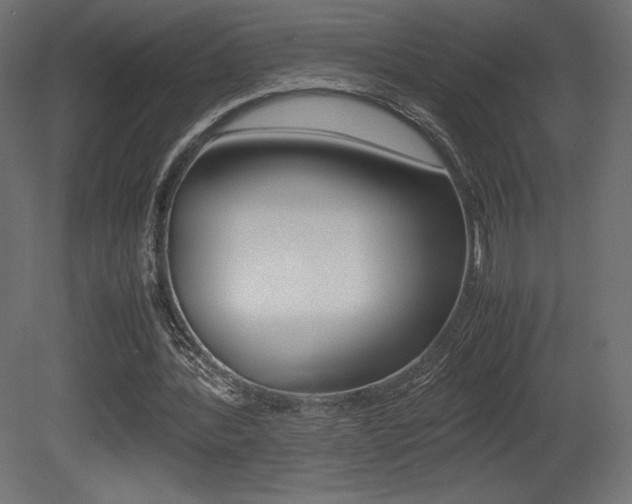 X0000081450388200701121020