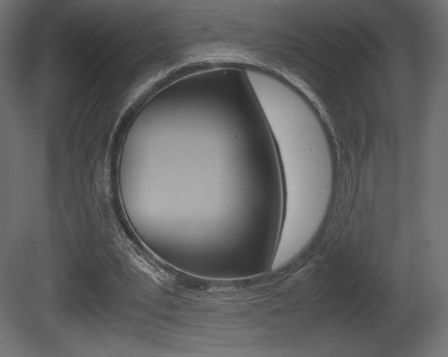 X0000081450391200701121020
