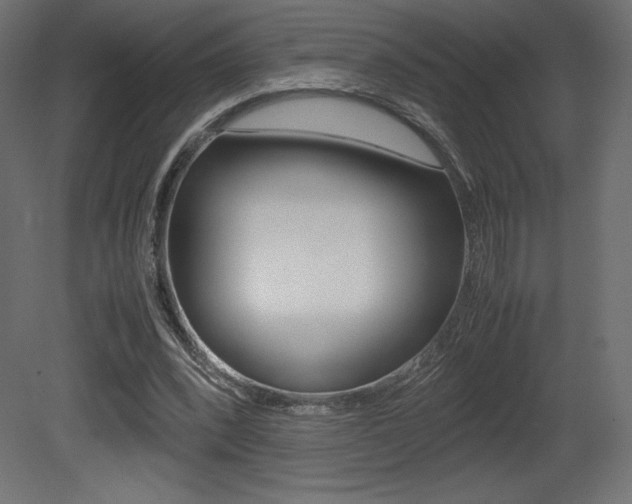 X0000081450392200701121020