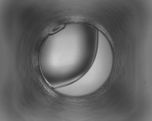 X0000081450393200701121020