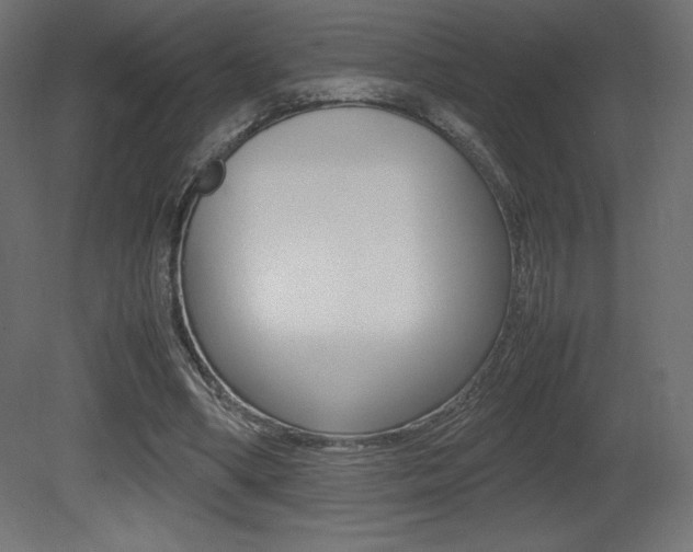X0000081450394200701121020