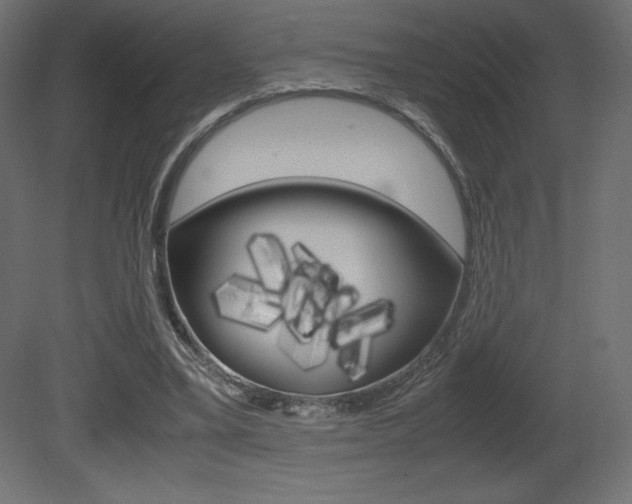 X0000081450395200701121020