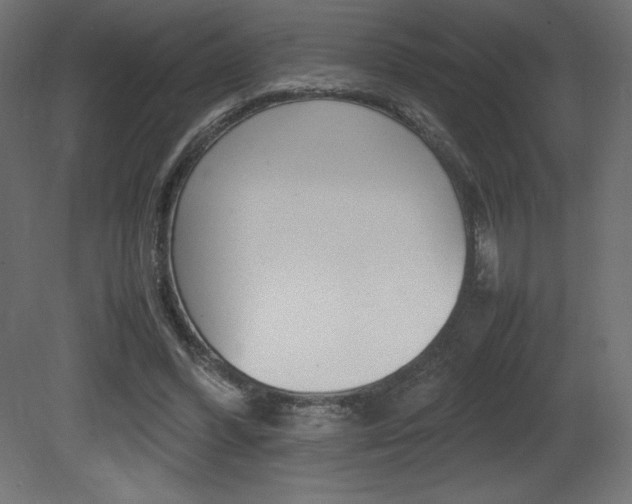 X0000081450396200701121020