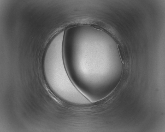 X0000081450397200701121020